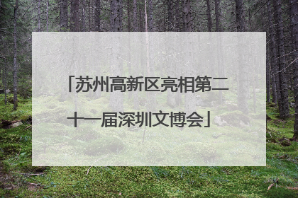 苏州高新区亮相第二十一届深圳文博会