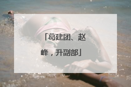 葛建团、赵峰，升副部