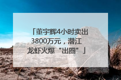 董宇辉4小时卖出3800万元，潜江龙虾火爆“出圈”