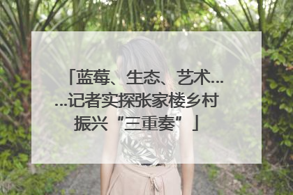 蓝莓、生态、艺术……记者实探张家楼乡村振兴“三重奏”
