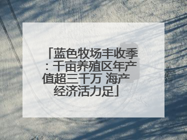 蓝色牧场丰收季：千亩养殖区年产值超三千万 海产经济活力足