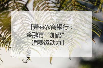 蓬莱农商银行：金融再“加码” 消费添动力