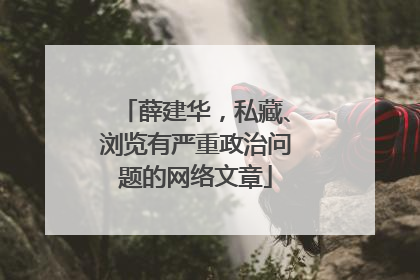 薛建华，私藏、浏览有严重政治问题的网络文章
