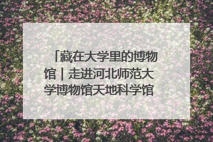 藏在大学里的博物馆｜走进河北师范大学博物馆天地科学馆：在校园里赴一场“宇宙之约”