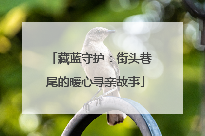 藏蓝守护：街头巷尾的暖心寻亲故事