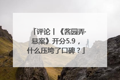 评论丨《酱园弄·悬案》开分5.9，什么压垮了口碑？