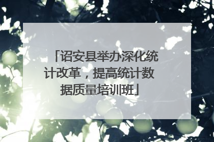诏安县举办深化统计改革，提高统计数据质量培训班