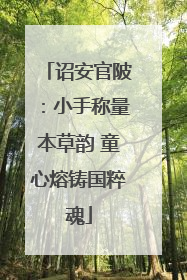 诏安官陂：小手称量本草韵 童心熔铸国粹魂