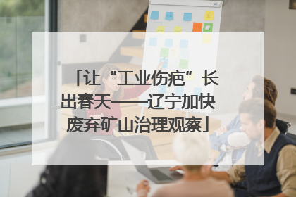 让“工业伤疤”长出春天——辽宁加快废弃矿山治理观察