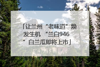 让兰州“老味道”焕发生机 “兰白946”白兰瓜即将上市