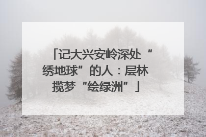 记大兴安岭深处“绣地球”的人：层林揽梦“绘绿洲”