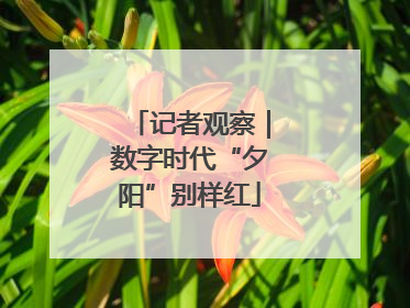 记者观察｜数字时代“夕阳”别样红