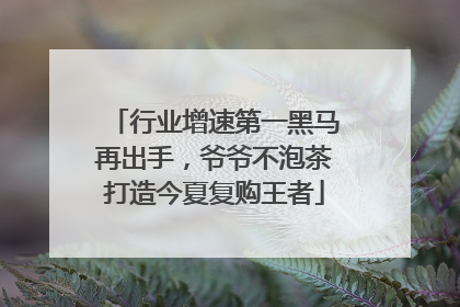 行业增速第一黑马再出手，爷爷不泡茶打造今夏复购王者