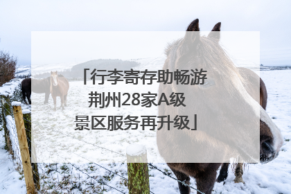 行李寄存助畅游 荆州28家A级景区服务再升级