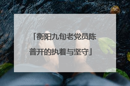 衡阳九旬老党员陈普开的执着与坚守