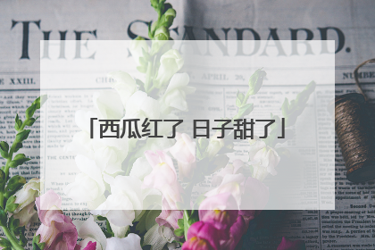 西瓜红了 日子甜了