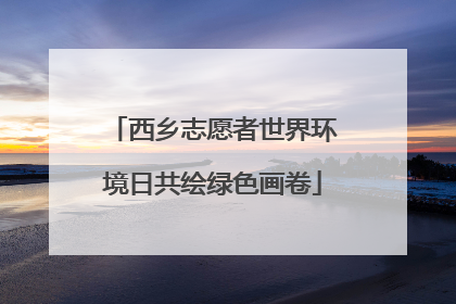 西乡志愿者世界环境日共绘绿色画卷