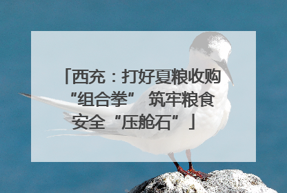 西充：打好夏粮收购“组合拳” 筑牢粮食安全“压舱石”