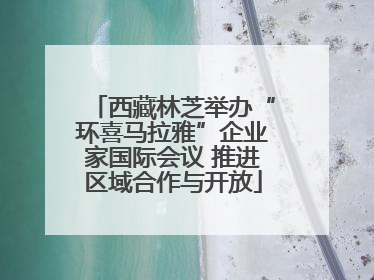 西藏林芝举办“环喜马拉雅”企业家国际会议 推进区域合作与开放