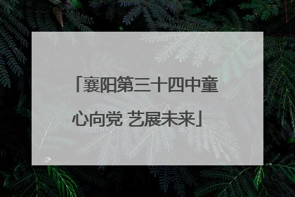 襄阳第三十四中童心向党 艺展未来
