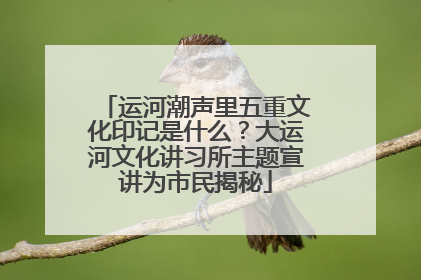 运河潮声里五重文化印记是什么？大运河文化讲习所主题宣讲为市民揭秘