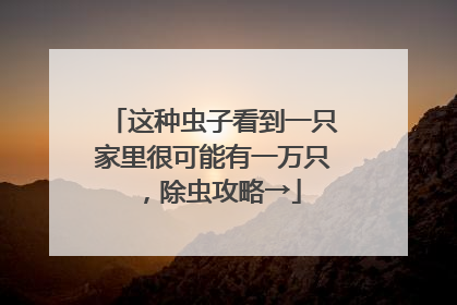 这种虫子看到一只家里很可能有一万只，除虫攻略→