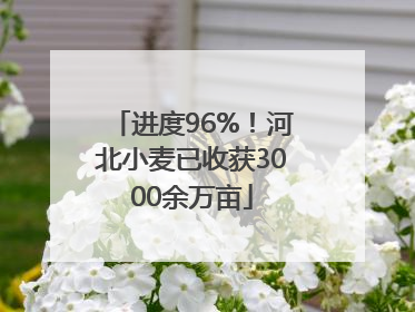进度96%！河北小麦已收获3000余万亩