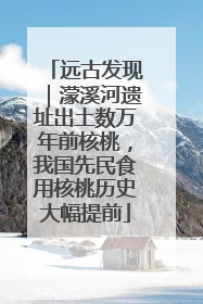 远古发现｜濛溪河遗址出土数万年前核桃，我国先民食用核桃历史大幅提前