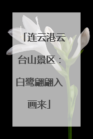 连云港云台山景区：白鹭翩翩入画来