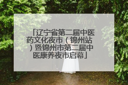 辽宁省第二届中医药文化夜市（锦州站）暨锦州市第二届中医康养夜市启幕