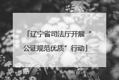 辽宁省司法厅开展“公证规范优质”行动