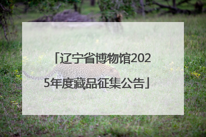 辽宁省博物馆2025年度藏品征集公告
