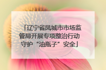 辽宁省凤城市市场监管局开展专项整治行动守护“油瓶子”安全