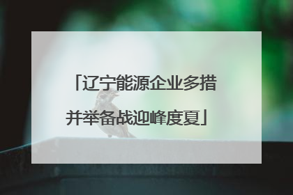 辽宁能源企业多措并举备战迎峰度夏
