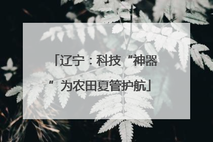 辽宁：科技“神器”为农田夏管护航