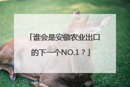 谁会是安徽农业出口的下一个NO.1？