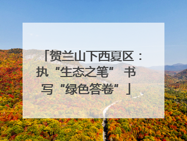 贺兰山下西夏区：执“生态之笔” 书写“绿色答卷”