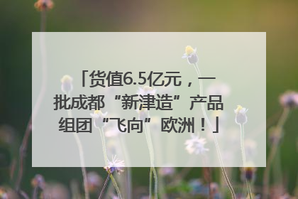 货值6.5亿元，一批成都“新津造”产品组团“飞向”欧洲！
