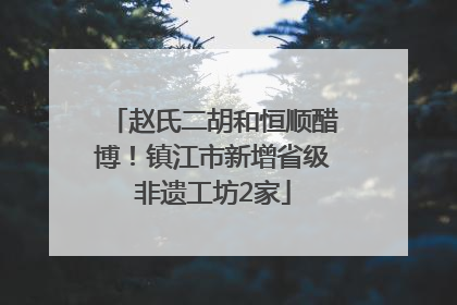 赵氏二胡和恒顺醋博！镇江市新增省级非遗工坊2家