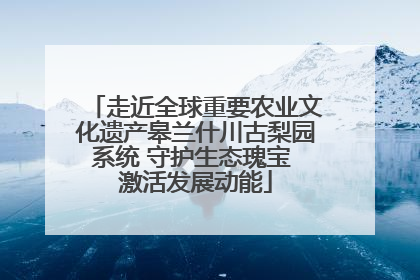 走近全球重要农业文化遗产皋兰什川古梨园系统 守护生态瑰宝 激活发展动能