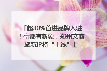 超30%首进品牌入驻！亳都有新象，郑州文商旅新IP将“上线”