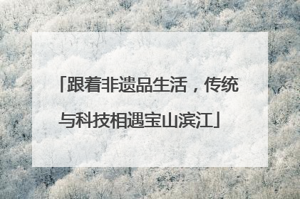 跟着非遗品生活，传统与科技相遇宝山滨江