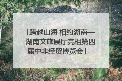 跨越山海 相约湖南——湖南文旅展厅亮相第四届中非经贸博览会