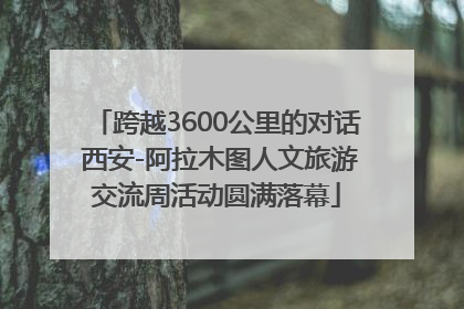 跨越3600公里的对话 西安-阿拉木图人文旅游交流周活动圆满落幕