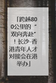 跨越800公里的“双向奔赴”！长沙-香港青年人才对接会在港举办