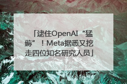 逮住OpenAI“猛薅”！Meta据悉又挖走四位知名研究人员