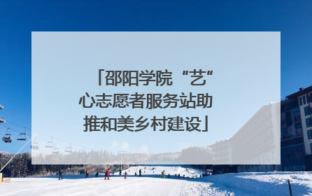 邵阳学院“艺”心志愿者服务站助推和美乡村建设