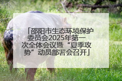 邵阳市生态环境保护委员会2025年第一次全体会议暨“夏季攻势”动员部署会召开