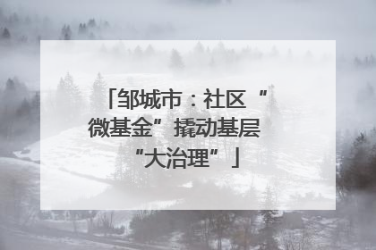 邹城市：社区“微基金”撬动基层“大治理”