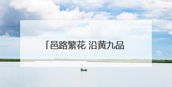 邑路繁花 沿黄九品 画乡鲤都……聊城乡村振兴片区建设亮点纷呈